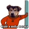 Perritos y Gatitos 18