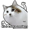 Perritos y Gatitos 20