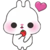 Baby Rabbit 22