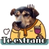 Perritos y Gatitos 21