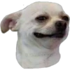Perritos 29
