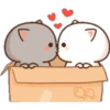 peach cat and boyfriend 19
