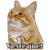 Perritos y Gatitos 24