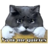 Perritos y Gatitos 26