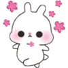 Baby Rabbit 24