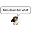 Pinguinos 2 5