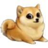Perros Memes 5