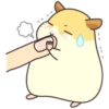 CUTE нaмSтer 7