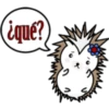 (¿qué?