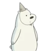 Polar 1 6