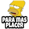 Citações Dos Simpsons 6