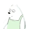 Polar 1 7