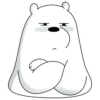 Polar 1 8