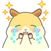 CUTE нaмSтer 10
