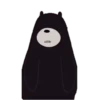 Polar 1 9