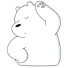 Polar 1 10