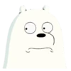 Polar 1 11