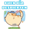 BUEN DÍA
DESPIERTEN
cokki