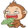 monkey 9