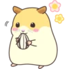 CUTE нaмSтer 11