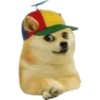 Perros Memes 9