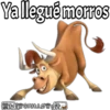 Ya llegué morros
+SGRILLØWESA
