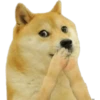 Perros Memes 10