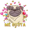 P U G   P O W E R 5
