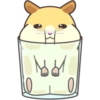 CUTE нaмSтer 12
