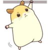 CUTE нaмSтer 13