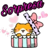 Sorpresa
cokki