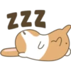 n
ZZZ