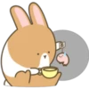 Coffee Rabbit 11