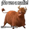 ¡No veo a nadie!
ELS GRILLOW