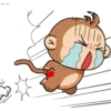 monkey 13