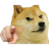 Perros Memes 12