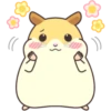 CUTE нaмSтer 14