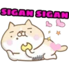 SIGAN SIGAN
:8
cokki