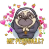 P U G   P O W E R 6