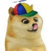 Perros Memes 14