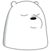 Polar 1 12