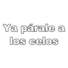 Chicos Toxicos 15