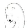 Polar 1 13
