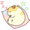 CUTE нaмSтer 17