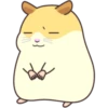CUTE нaмSтer 18