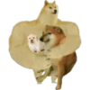 Perros Memes 21