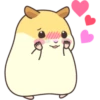 CUTE нaмSтer 19