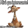Mirá que interesante!
HSGRILLØt