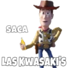SACA
LAS KWASAKI'S