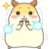 CUTE нaмSтer 20